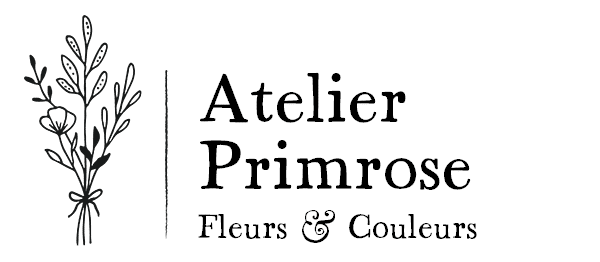 Atelier Primrose