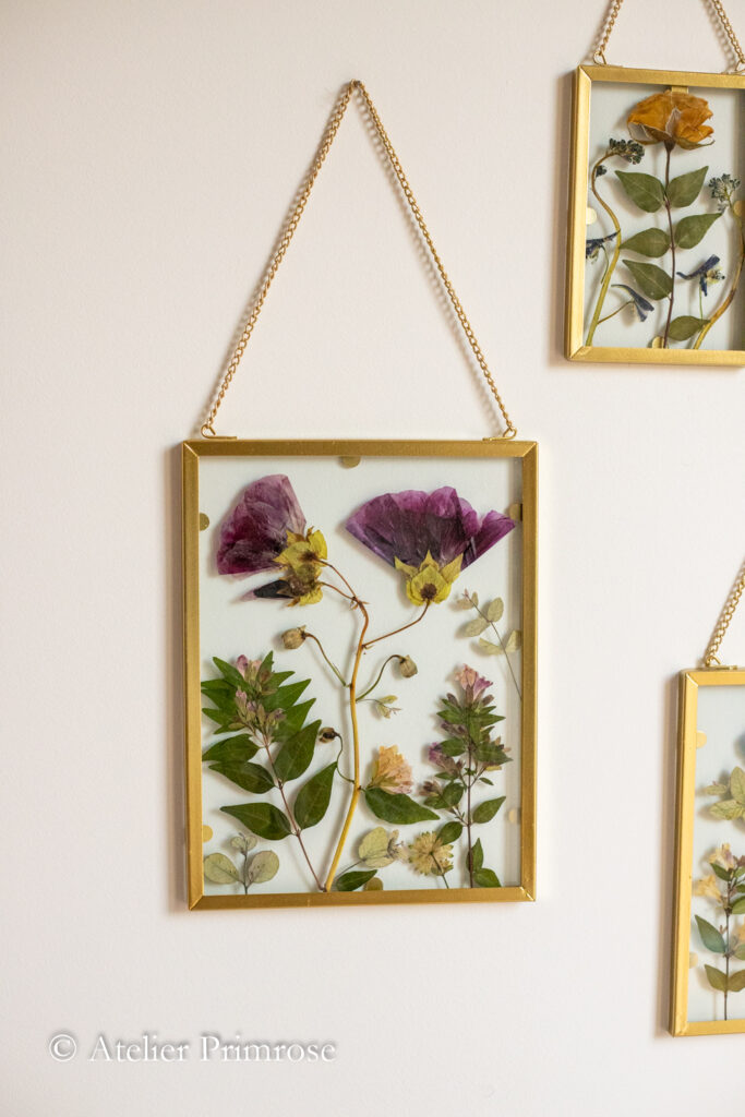 Cadres de fleurs pressées-23012025-003_Websize_Atelier Primrose_art floral