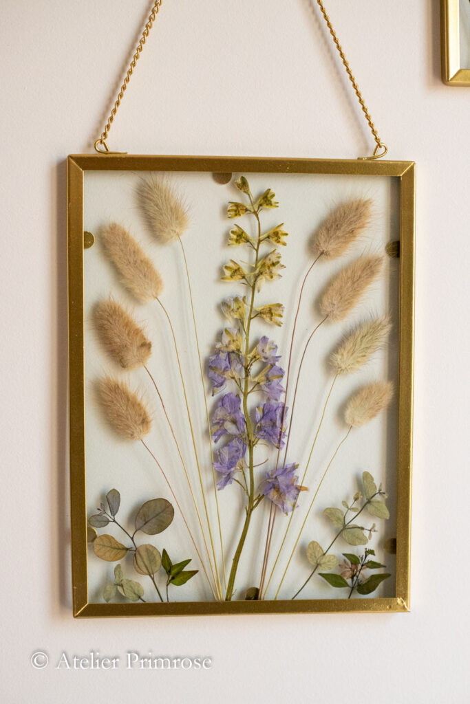 Cadres de fleurs pressées-23012025-063_Websize_Atelier Primrose_art floral